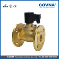 Steam brass flange type solenoid check valve